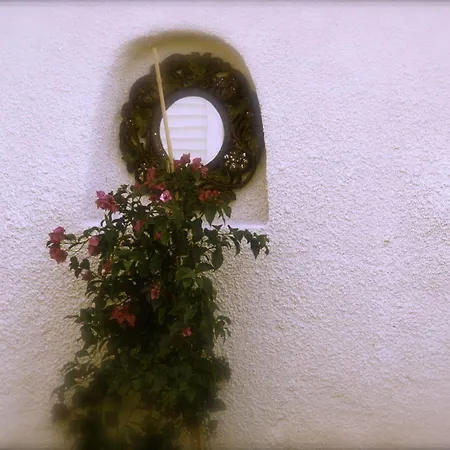 Yasemin (adults Only)