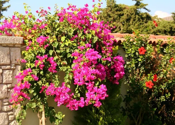 Yasemin (adults Only) Konukevi 3*